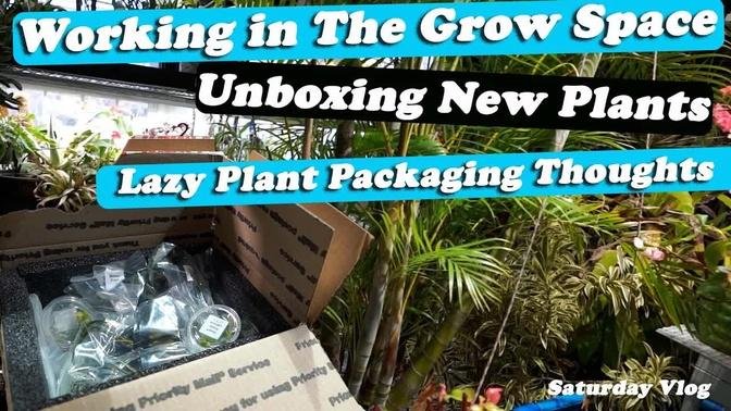 Working in The Grow Space & Unboxing New Plants || Small Rant || Saturday Vlog