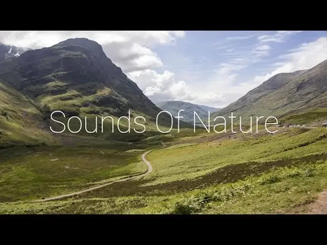 Relaxing Music | Birds Singing | Blue Mountains - River Lake - Waterfall