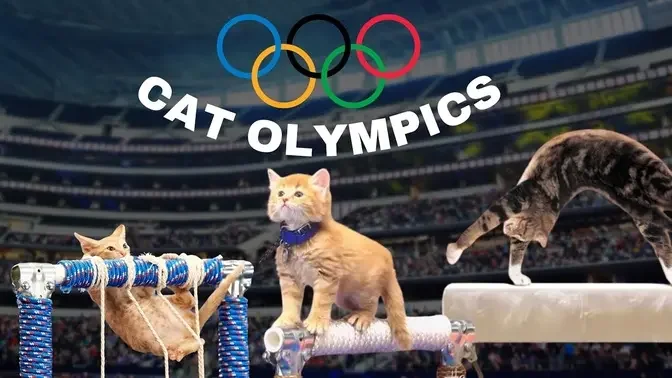 Cat Olympics