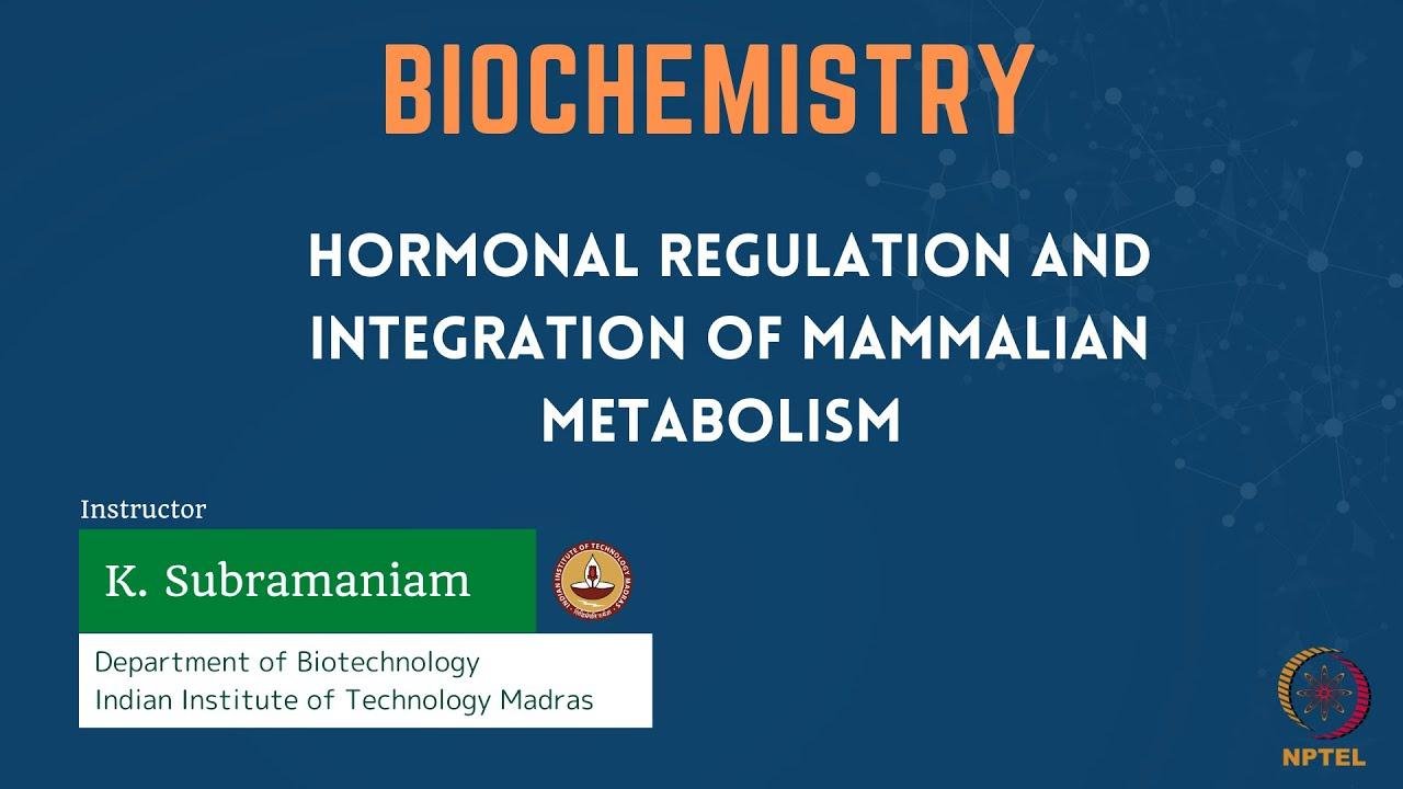 Hormonal Regulation and Integration of Mammalian Metabolism