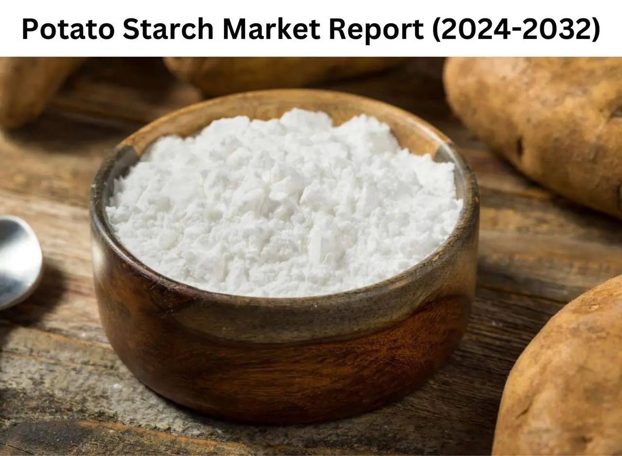 Potato Starch Market Projections and Strategic Growth Insights 2032