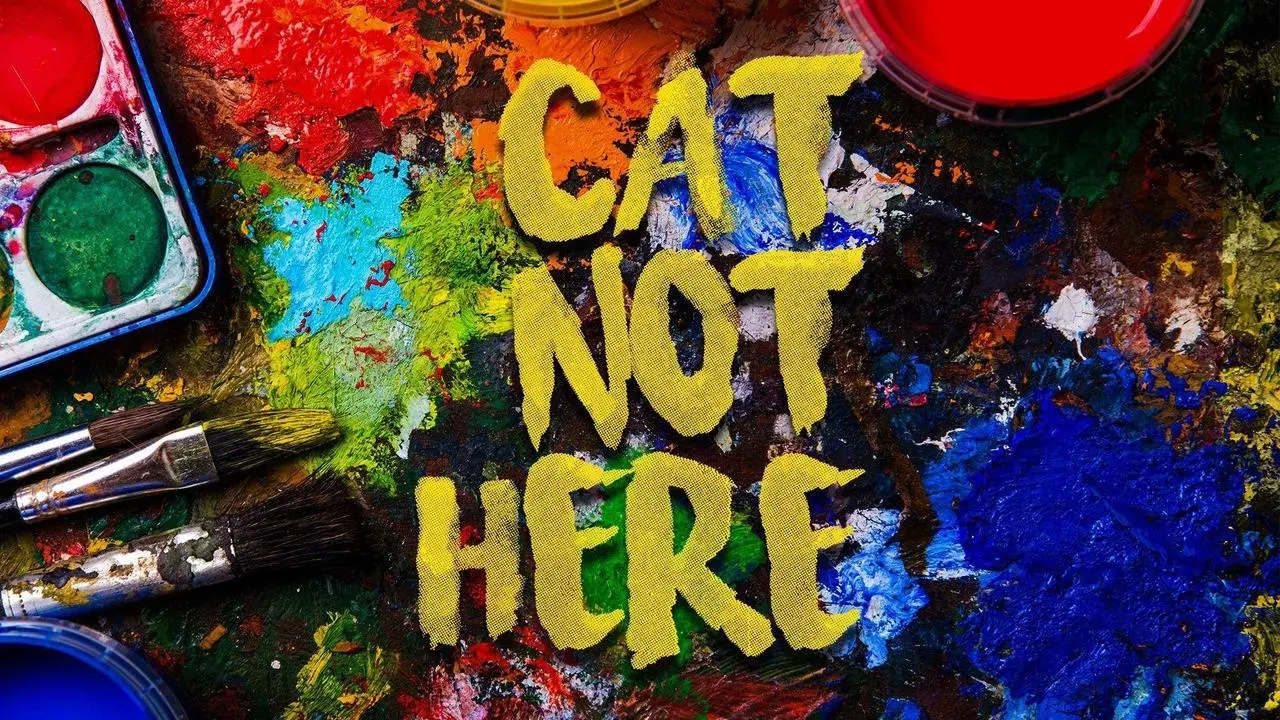 Cat Not Here