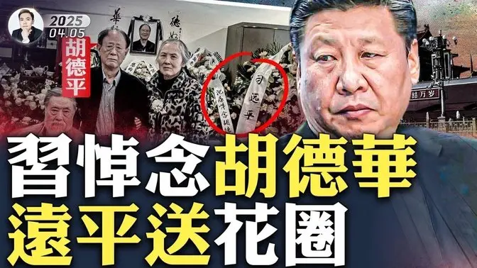 習對胡德平說：大哥高看我了，我就是守守攤子！體制內有人推胡德平做總書記！習曾住在胡家，跟胡德平、胡德華關係很好，後來為什麼出現裂痕？習近平跟太子黨們的真實關係是什麼？｜大宇拍案驚奇