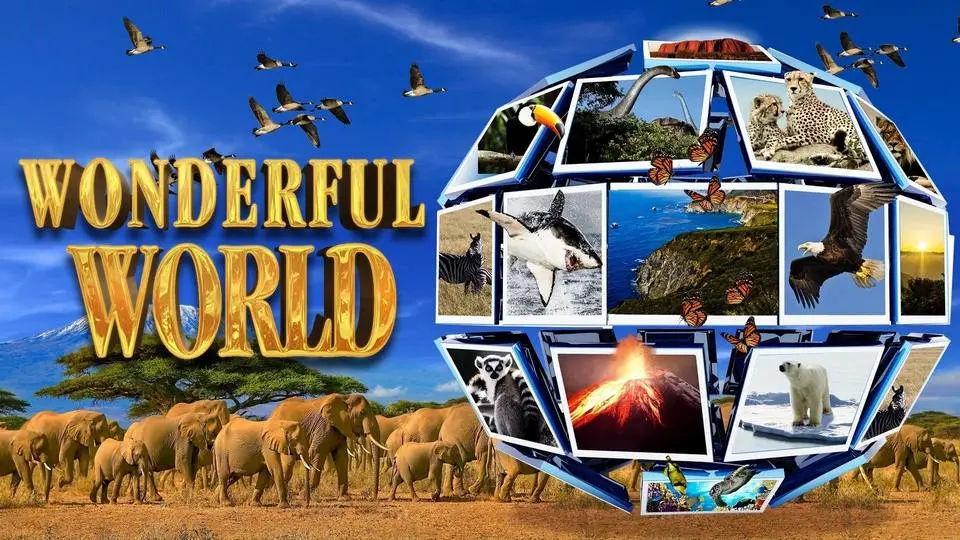 Wonderful World
