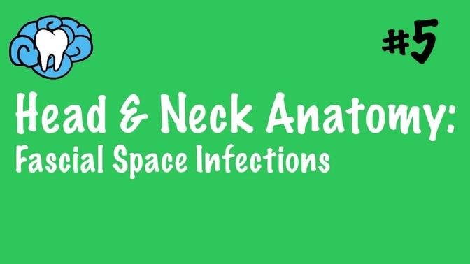 Head & Neck Anatomy | Fascial Space Infections | INBDE