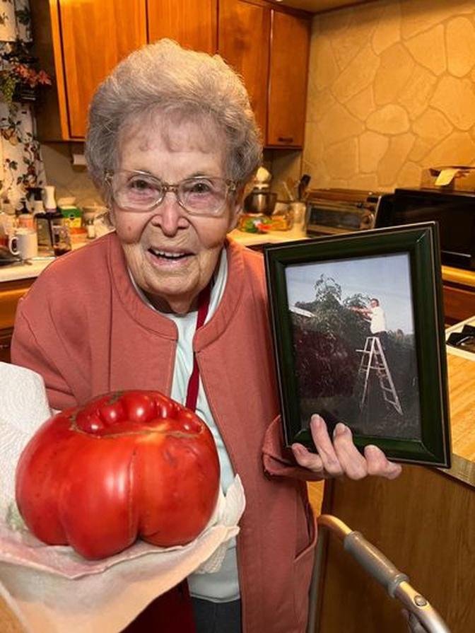 A 92-Year-Old Gardener Has Been Growing Tomatoes from the Same Seedlings for 58 Years