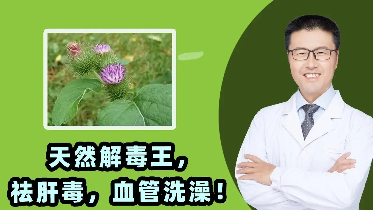 天然解毒王，祛肝毒，血管洗澡！｜【老安谈健康】