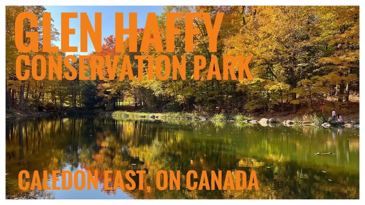 Glen Haffy Conservation Park | Fall Foliage| Hiking| Relive | Caledon East, ON 🇨🇦