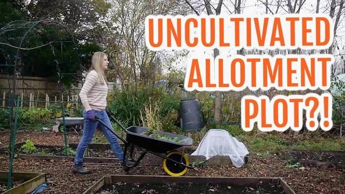 UNCULTIVATED ALLOTMENT PLOT?! / EMMA'S ALLOTMENT DIARIES / DECEMBER 2021