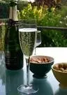 The world of Champagne