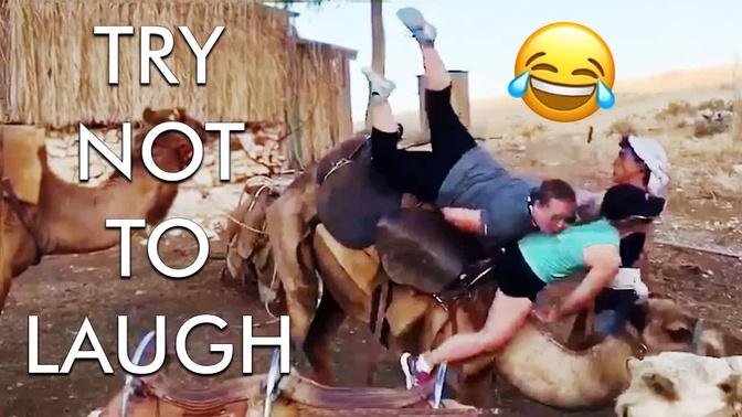 2 Hour Try Not To Laugh Challenge 😂 Best Funny Fails Of The Week Funny Videos Afv Live