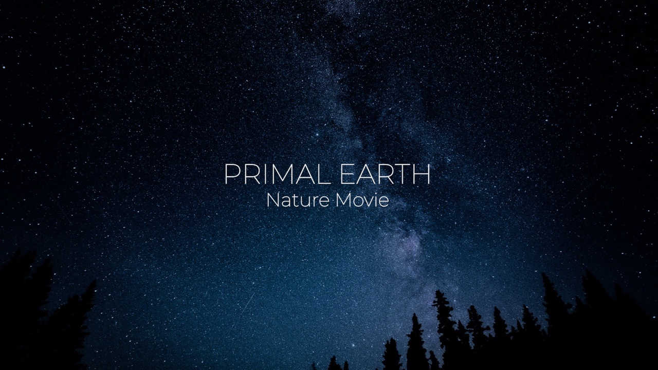 PRIMAL EARTH