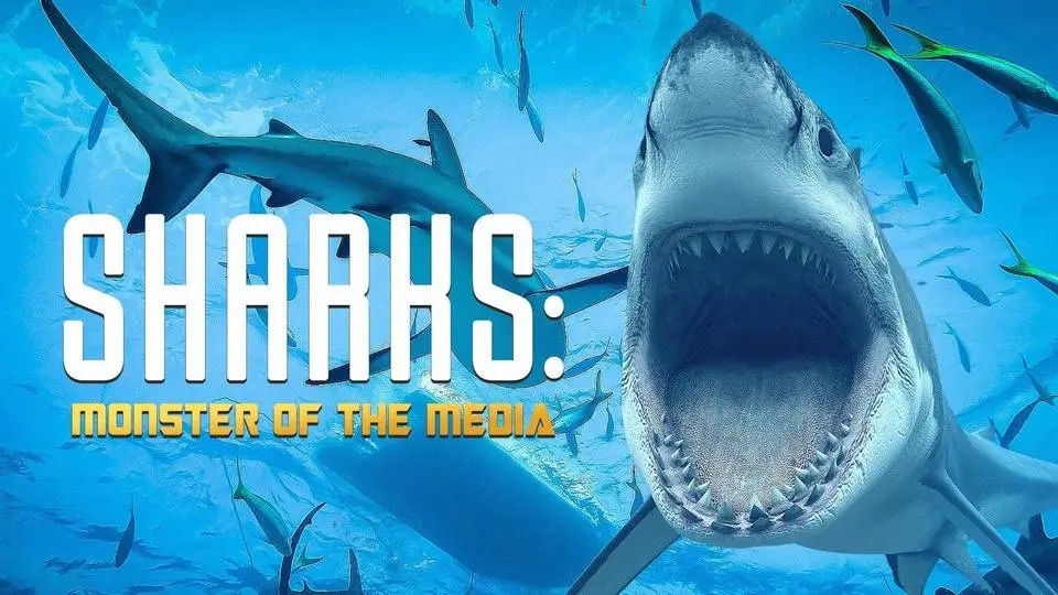 Sharks: Monster of the Media
