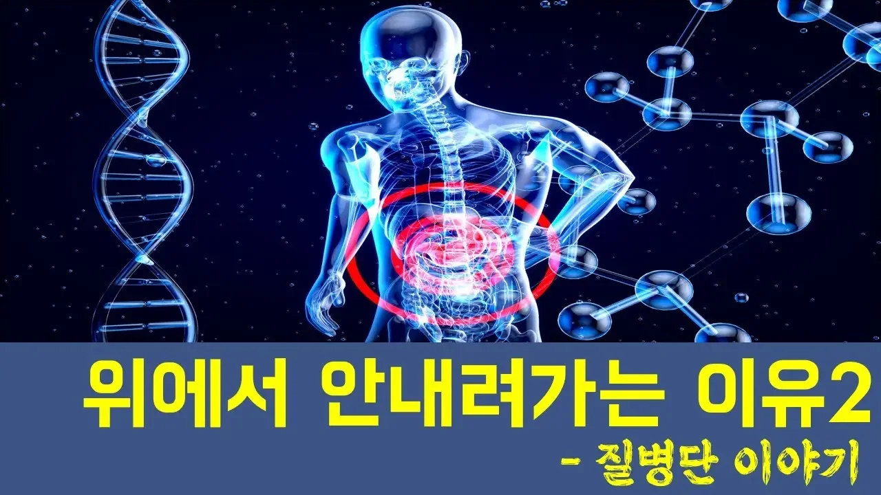 위에서 잘 내려가지 않는 이유 - 질병단이야기