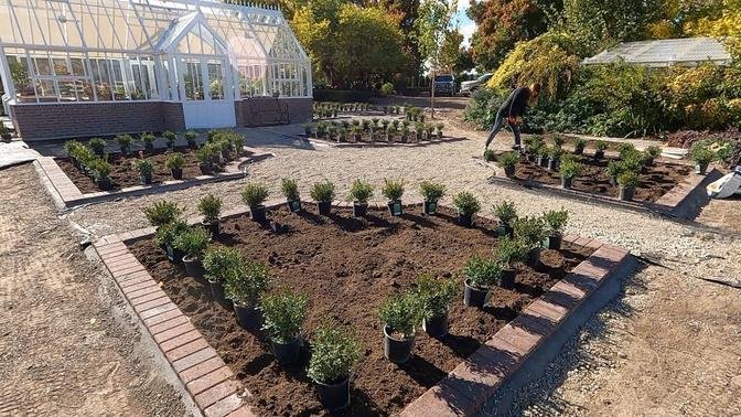 Planting Boxwoods Around the Hartley! 🤩🙌💃   Garden Answer