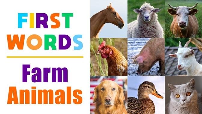 Learning Farm Animals Names for Children - First Words for Toddlers,  Babies, Kindergarten, Kids