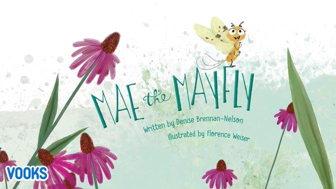Mae The Mayfly - Animated Kids Books - Vooks Narrated Storybooks