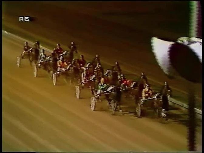 Harness Racing,Bankstown-08/11/1982 Bankstown Cup (Popular Alm-V.J.Night)