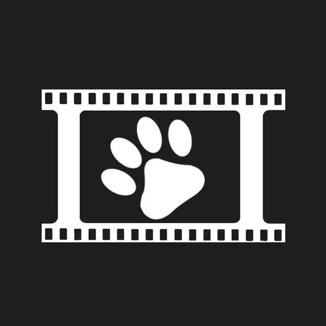 Cine Animals