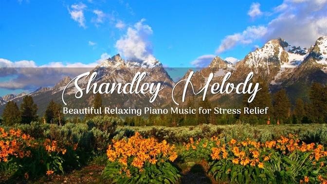 Beautiful Relaxing Piano Music For Stress Relief - Greatest 50 Love ...