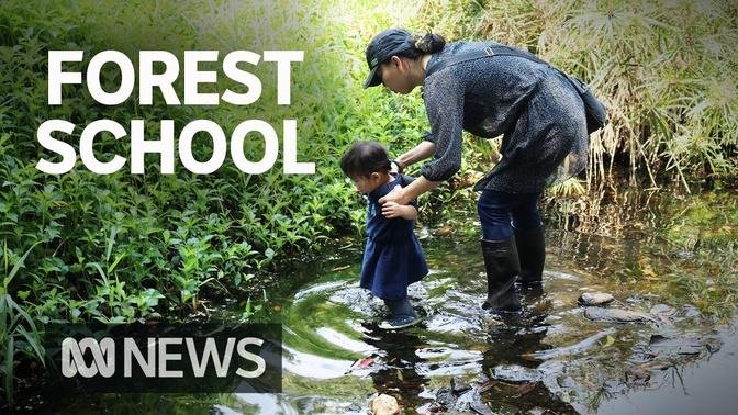 Forest schools: A growing alternative for parents wanting less screen time for kids | ABC News