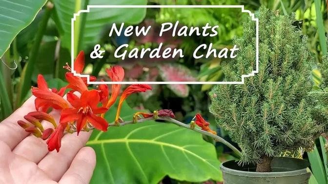New Plants & Garden Chat