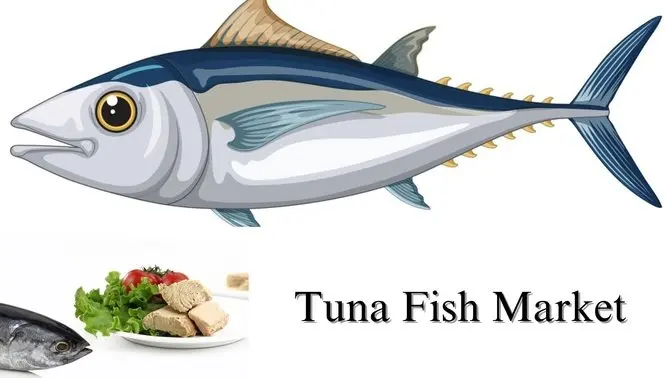 Tuna Fish Market, Size, Share, and Growth Analysis Through 2032