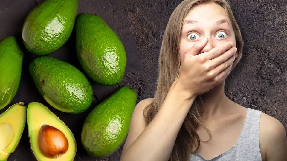I Ate 100 Avocados in 10 Days: Here's What Happened to My Blood!