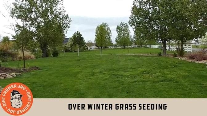 Over Winter Grass Seeding