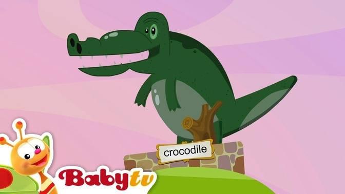 The Picaro Zoo 🐊🦁🐯 | The Picaro Show | BabyTV | Videos | BabyTV | Gan ...