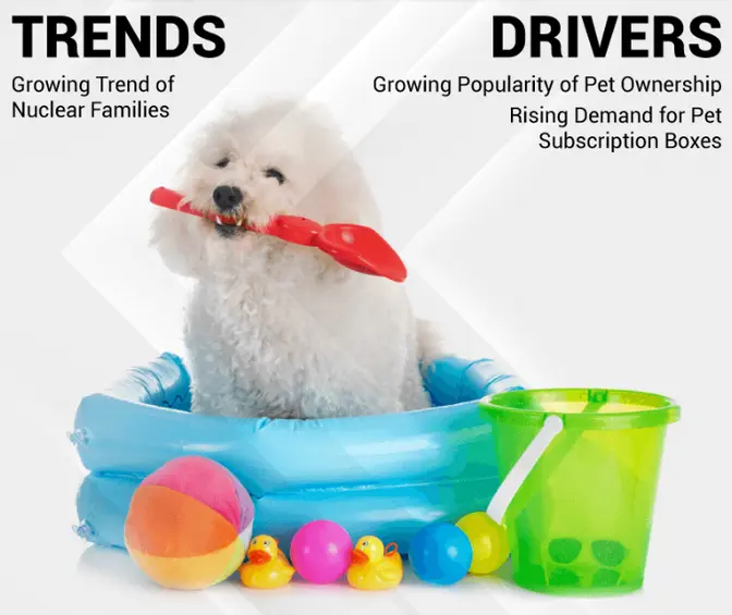 Pet Toys Market Growth, Size, Share Key Players Revenue Forecast to 2032