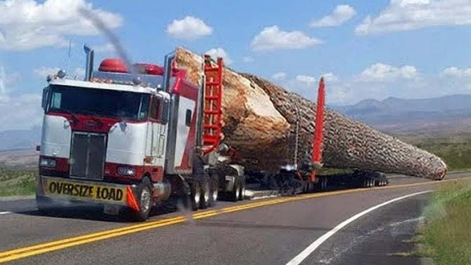 Dangerous Fastest Biggest Logging Wood Truck Operator Skills  Climbing Truck Heavy Equipment Working