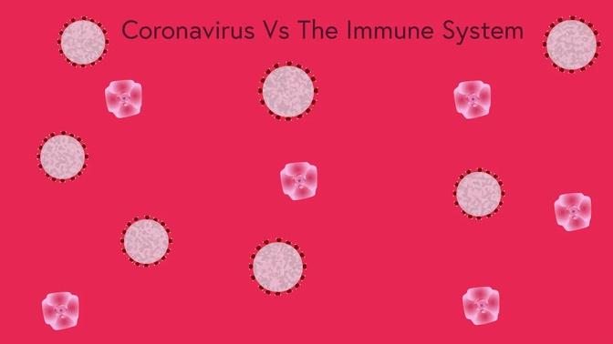 How Your Body Fights The Coronavirus