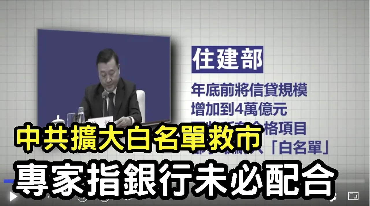 【禁聞】中共擴大白名單救市 專家指銀行未必配合| #中國禁聞