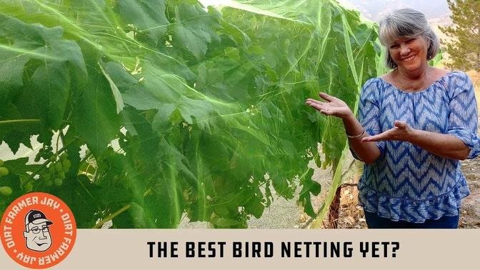 The Best Bird Netting Yet?