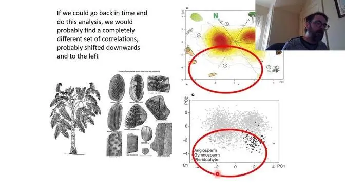 Plant Ecology module 6.4 - Design a plant, and review 