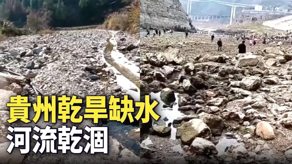 2023年1月底，貴州遵義烏江乾涸斷流，居民到河床撿螺螄。