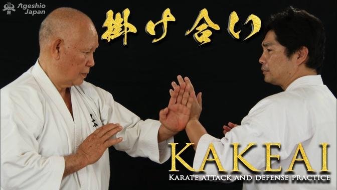 Splendid Kakeai Practice | Okinawan Karate Grand Master | Shorin-ryu Kenshikai | Ageshio Japan