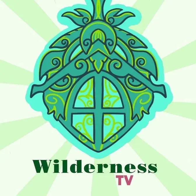 Wilderness TV