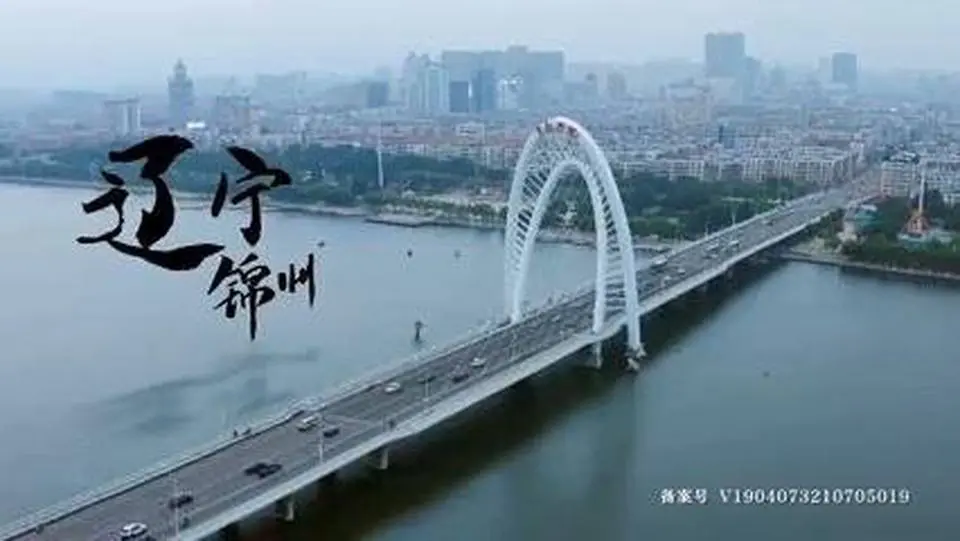 《向着宵夜的方向》 第二季第20集：辽宁锦州 烤羊肘 #美食 #美食製作 #美食紀錄片 #錦州美食
