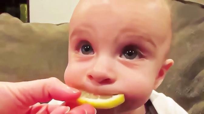 Funny Baby Loves Food - Babies Eating Compilation  6