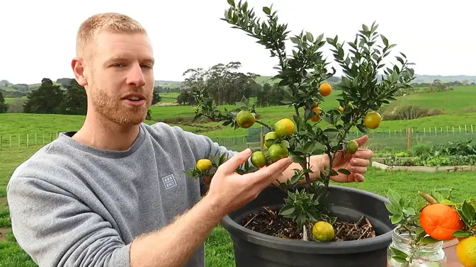 Gardening & Growing