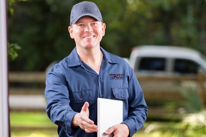 Navigating Pest Control: Solutions for Home and Business