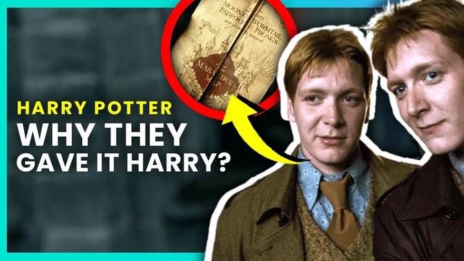 Burning Questions about the Harry Potter Twins ｜ OSSA Movies