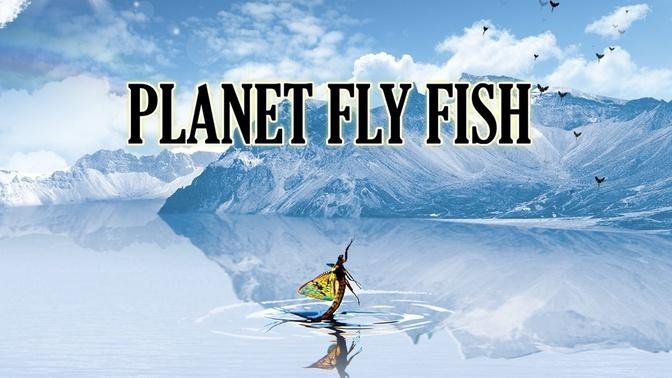 Planet Fly Fish