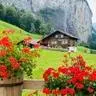 Swiss View