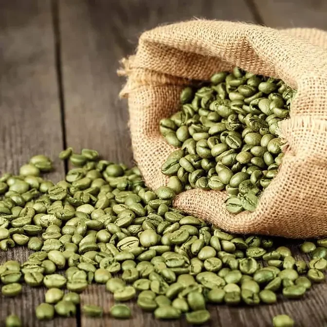 Green Coffee Market Trends and Growth Insights, 2032