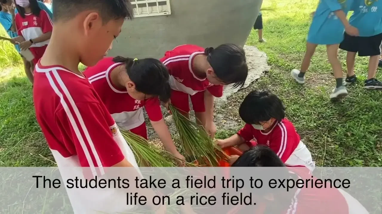 Word of the Day: rice field 稻田