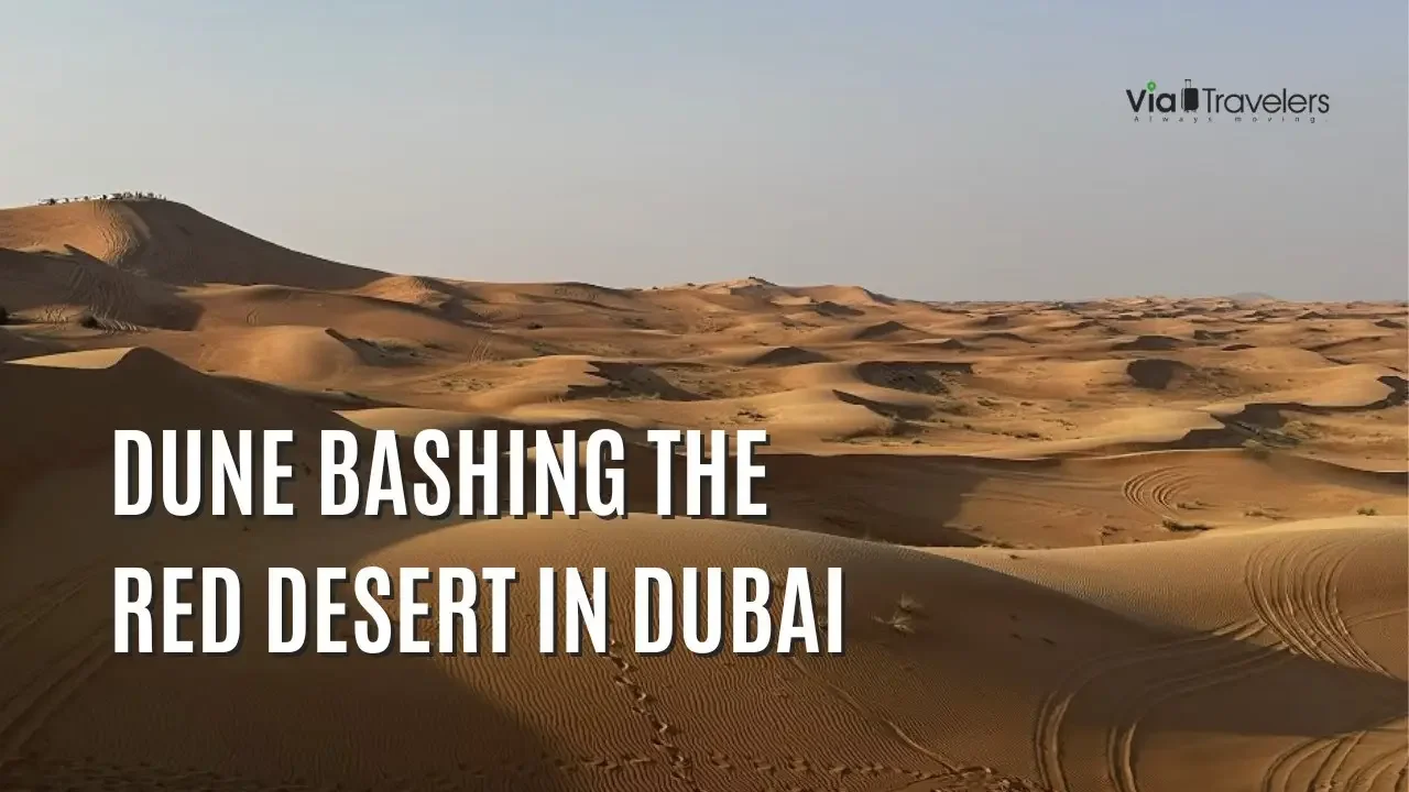 The Ultimate Red Desert Adventure: Dune Bashing & Boarding