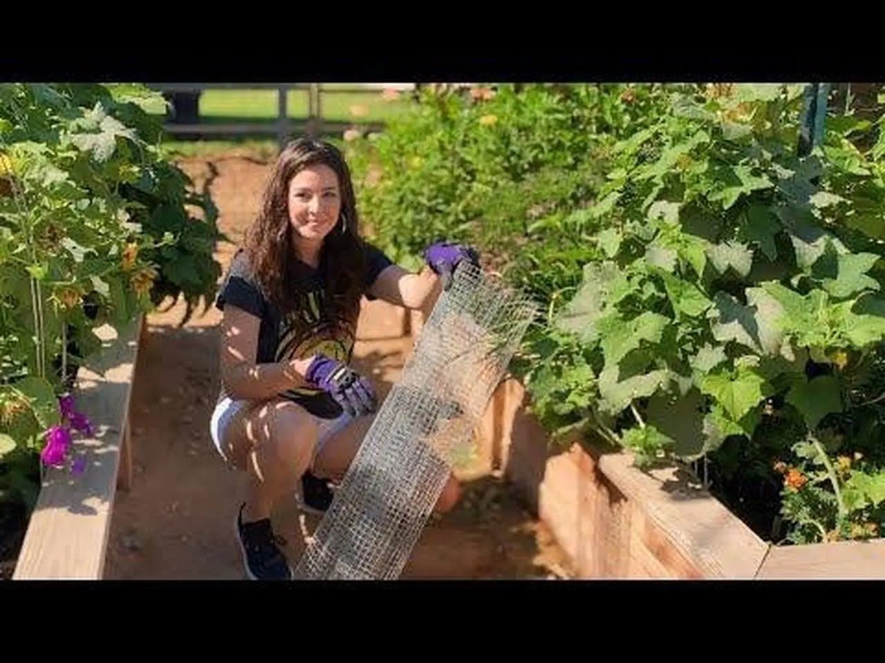 Protect Your Garden: Why You Need Hardware Cloth Under Your Raised Bed | Keep Pests Out!